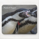 Search for penguin mousepads Photography