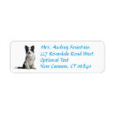 Search for collie return address labels Puppy