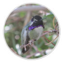 Search for hummingbird knobs and pulls Wildlife