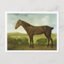 Search for 1800 postcards Brown