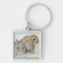 Search for lop key rings Bunny