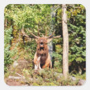 Search for estes park stickers Elk