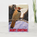 Search for woodpecker christmas cards Snow