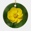 Search for cheerful christmas tree decorations Nature