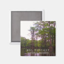 Search for preservation magnets Preserve