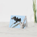 Search for balancer cards Bird