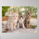 Search for friend baby posters For kids