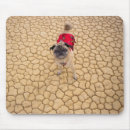 Search for wrinkled mousepads Funny