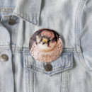 Search for falcon badges Wildlife