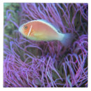 Search for side view tiles Sealife