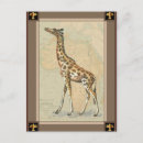 Search for giraffe postcards Safari