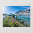 Search for bow postcards Banff national park