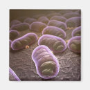 Search for microscope magnets Horizontal