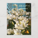 Search for abundant postcards Flowers