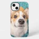 Search for animal face iphone cases Dog