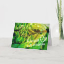 Search for fern cards New zealand