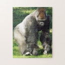 Search for gorilla puzzles Zoo