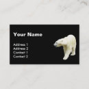 Search for photography background business cards Black