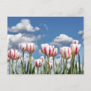 Search for think spring postcards Garden