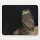 Search for horned owl mousepads Nature