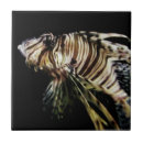 Search for aquatic tiles Life