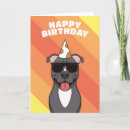 Search for staffordshire bull terrier birthday cards Staffie