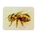 Search for stings magnets Yellow