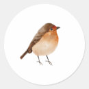 Search for robin birds stickers Bird lover