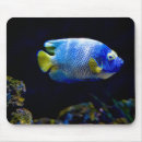 Search for angelfish mousepads Underwater