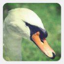 Search for bird face stickers Animal