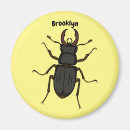 Search for beetles magnets Stag beetle