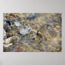 Search for ebb Water