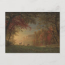 Search for deer postcards Landscape
