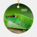 Search for reptiles christmas tree decorations Wildlife