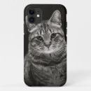 Search for tabby iphone cases Kitten
