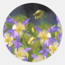 Search for columbine stickers Blue