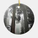 Search for giant christmas tree decorations Sequoia