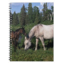 Search for foal notebooks bob langrish