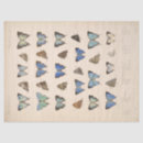 Search for teal blue tissue paper Antique