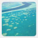 Search for queensland stickers Walter bibikow