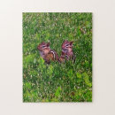 Search for pencil drawing puzzles Cute