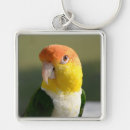 Search for bellied key rings Nature