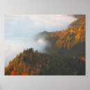 Search for low clouds posters Fog