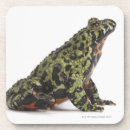 Search for belly coasters Animal