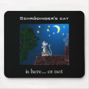 Search for quantum physics jokes Cat