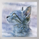 Search for cat profile posters Kitten