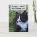 Search for funny black cat birthday cards White