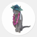 Search for cat graduation stickers School