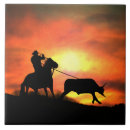 Search for western tiles Rodeo