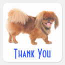 Search for pekingese stickers Peke